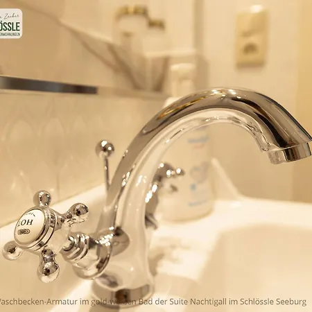 Schloss Seeburg باد أوراش